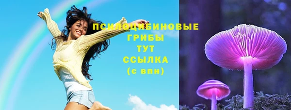 ГАЛЛЮЦИНОГЕННЫЕ ГРИБЫ Алзамай