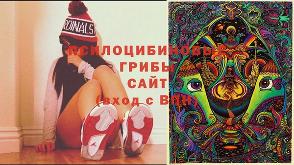 стафф Абдулино