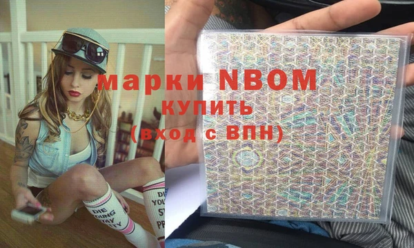 шишки Осташков