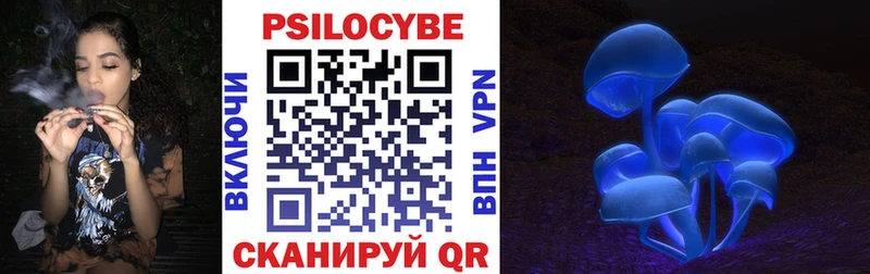 Псилоцибиновые грибы MAGIC MUSHROOMS  blacksprut ТОР  Ядрин 